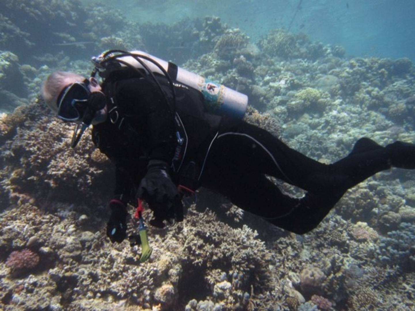 Lindsay Harper, diving underwater