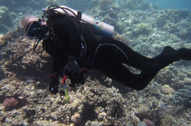 Lindsay Harper, diving underwater